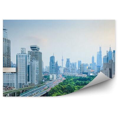 Okleina na ścianę Szanghaj miasto ulica jezdnia drzewa