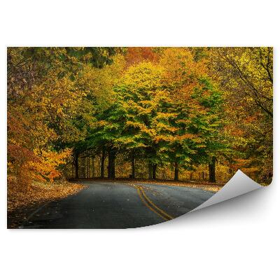 Fototapeta Jesień w lesie