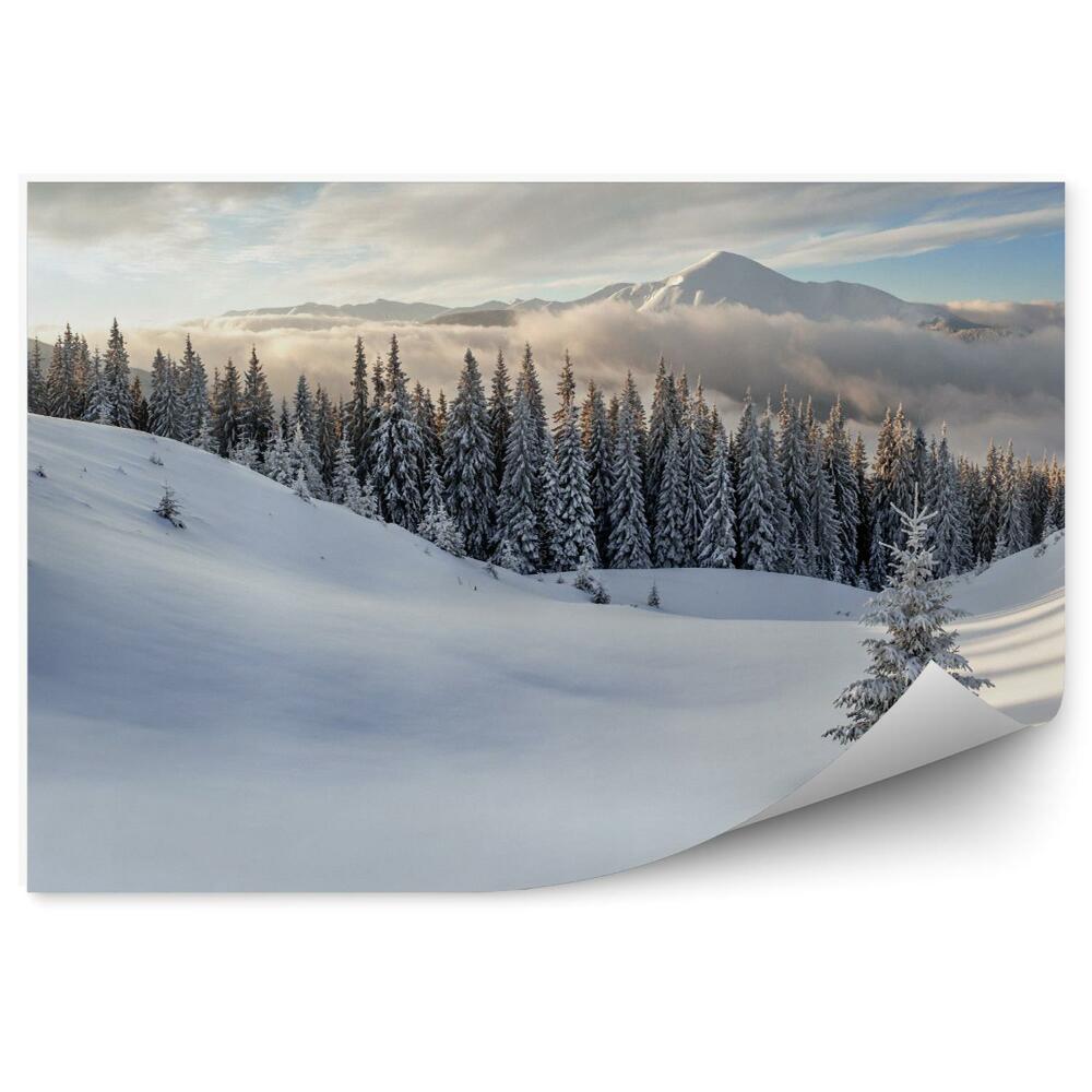 Fototapeta Góry zima śnieg krajobraz