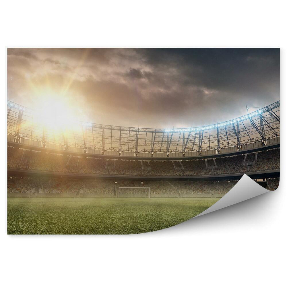 Fototapeta samoprzylepna Bramka boisko piłkarskie kibice światła chmury
