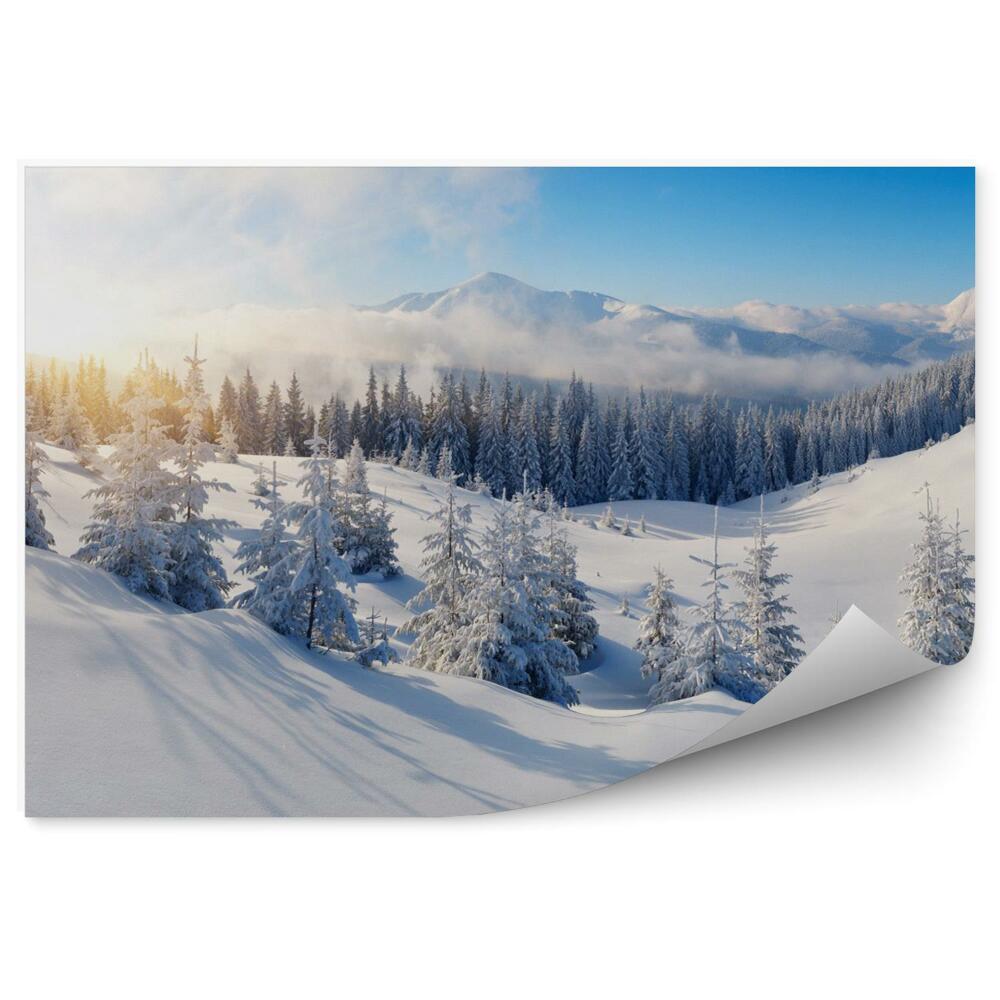 Fototapeta Panorama gór zimowy krajobraz