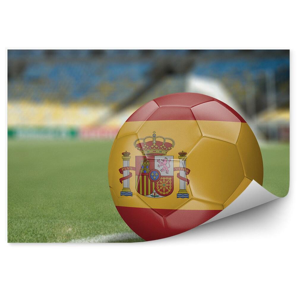 Fototapeta na ścianę Hiszpańska piłka nożna na boisku