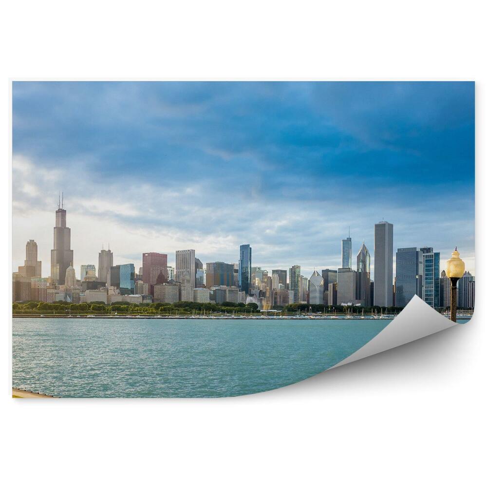 Fototapeta na ścianę wieżowce drzewa ocean trawa Chicago niebo