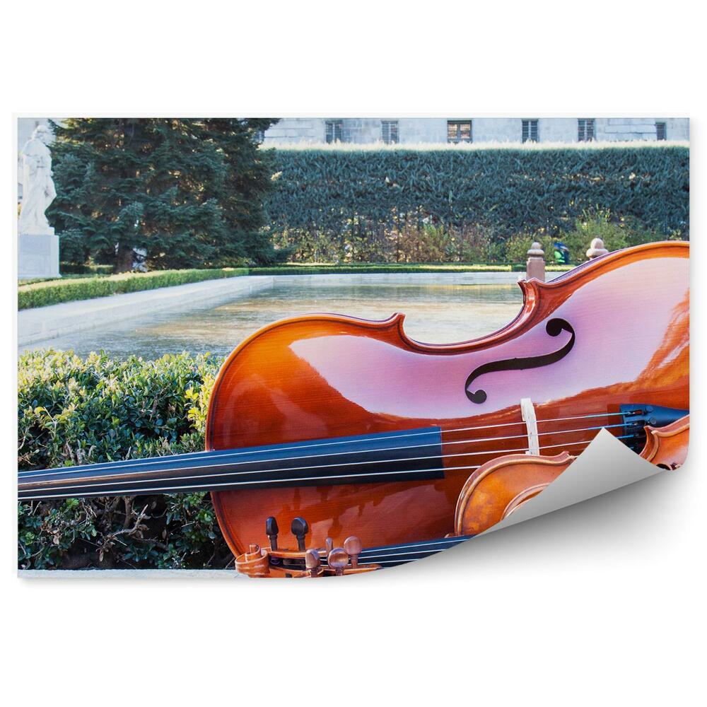 Fototapeta Instrumenty smyczkowe skrzypce kontrabas