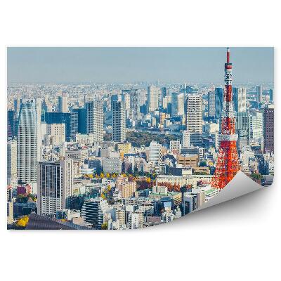 Okleina na ścianę widok z lotu ptaka niebo chmury Tokio Japonia