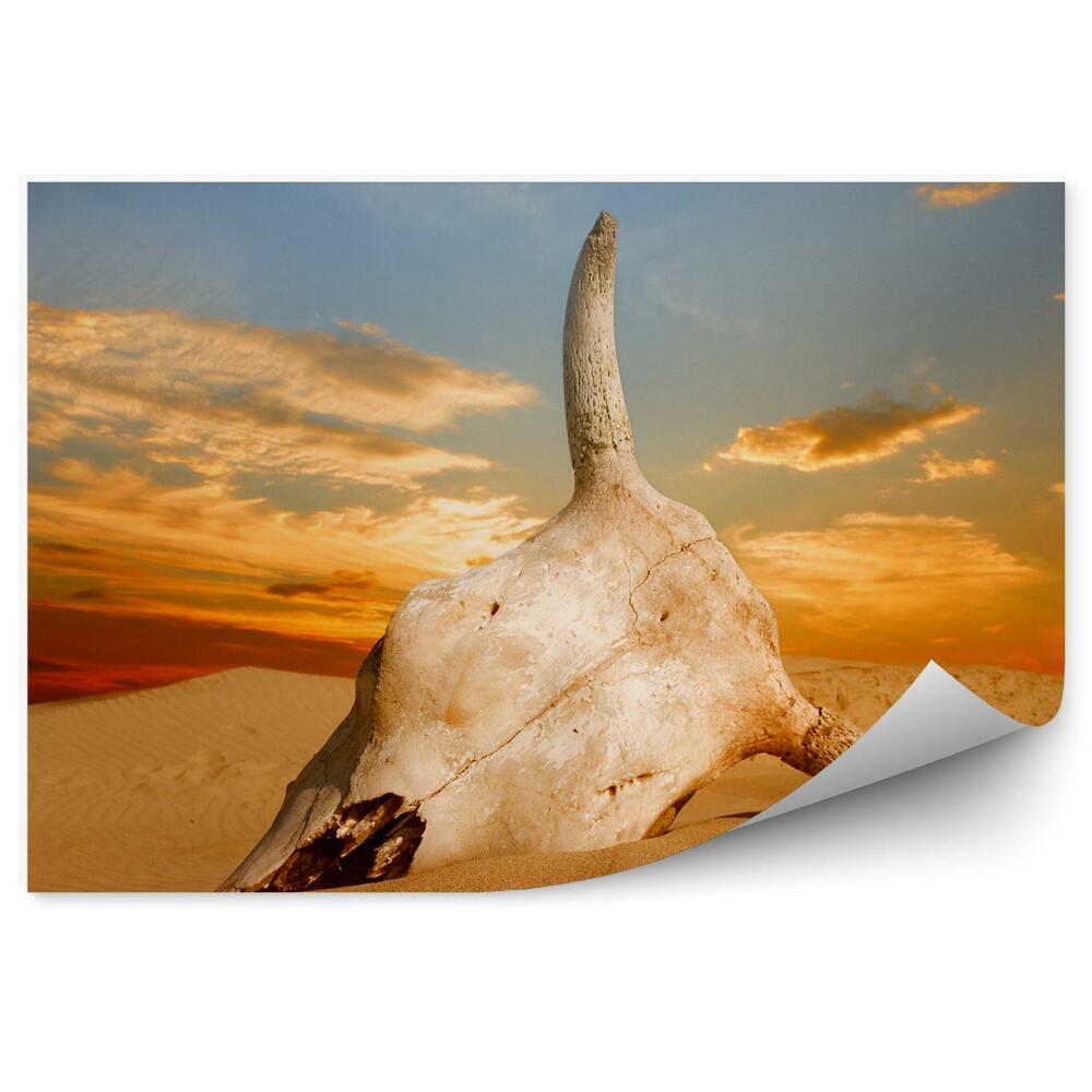 Fototapeta Pustynia czaszka zachód słońca afryka