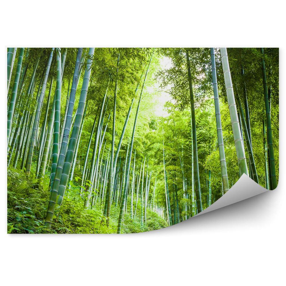 Fototapeta na ścianę Las bambusowy zielony schody kamienne