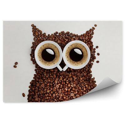 Fototapeta Sowa z kawy