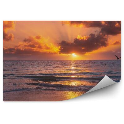 Fototapeta Zachód słońca