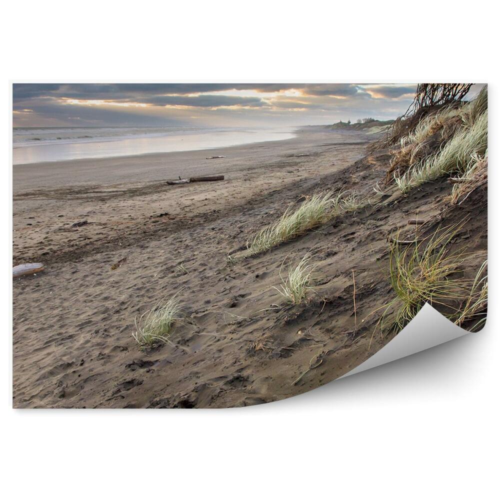 Fototapeta Burzliwy dzień trawy plaża ocean niebo chmury muriwai