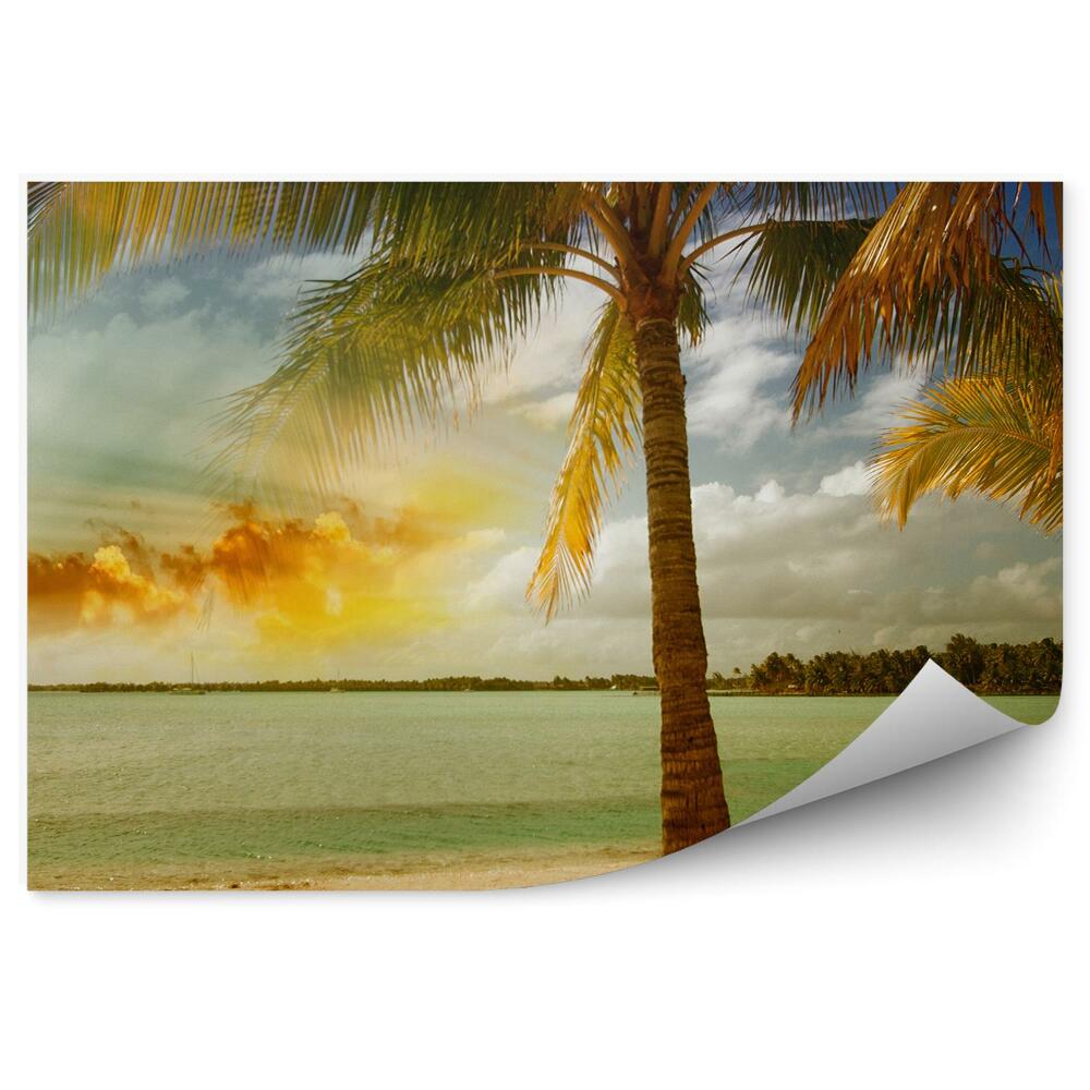 Okleina ścienna Piękny krajobraz plaża palmy ocean drzewa niebo chmury