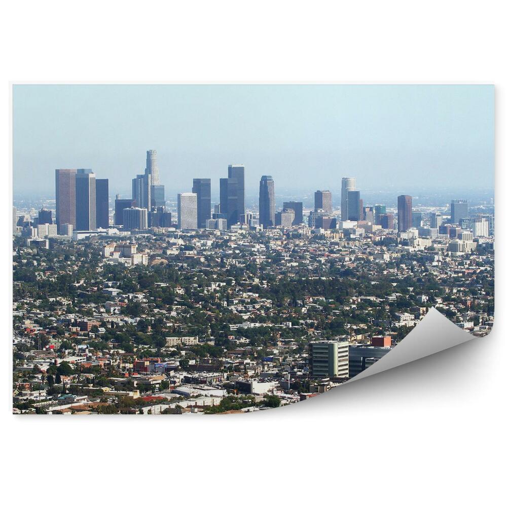 Fototapeta widok z lotu ptaka Los Angeles drzewa