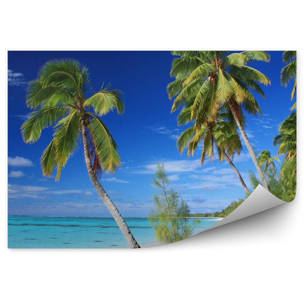 Okleina ścienna Piękna plaża wyspa aitutaki palmy ocean niebo chmury