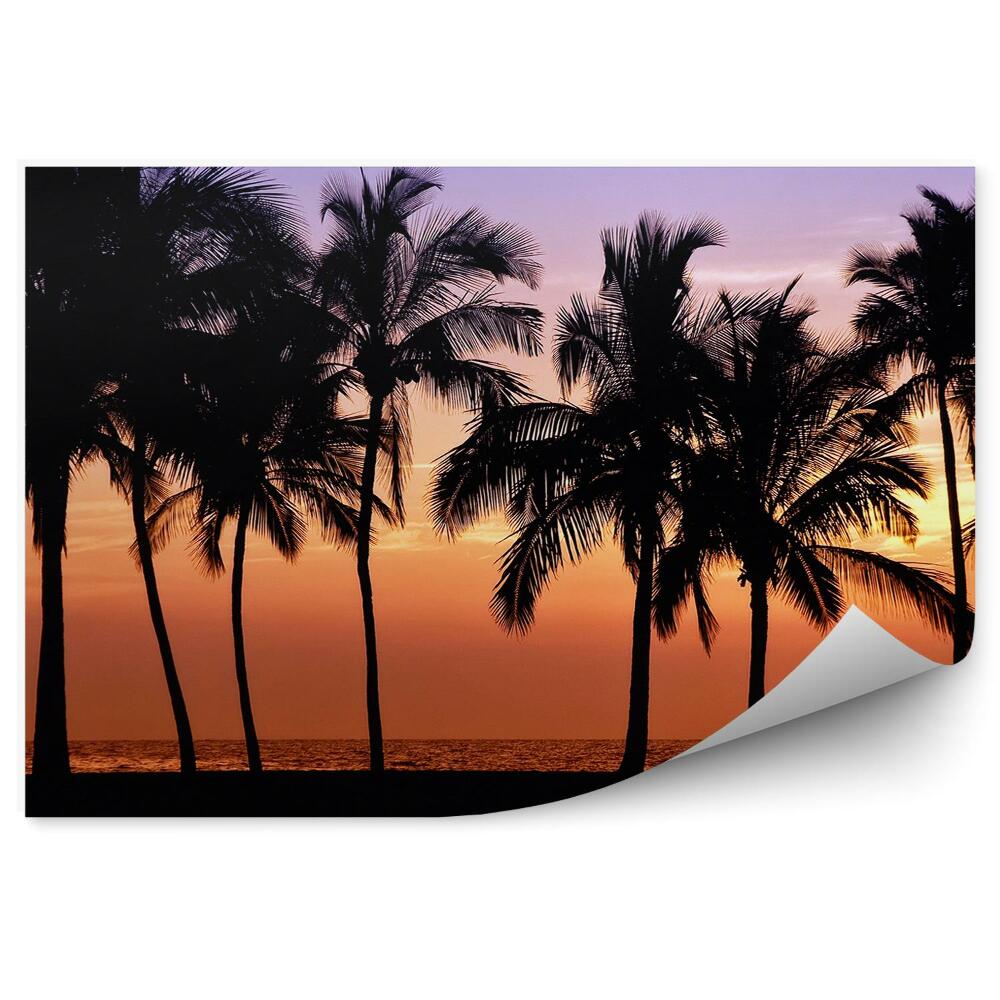 Fototapeta palmy zachód słońca ocean