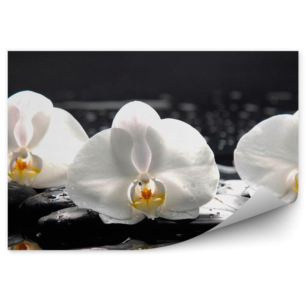 Fototapeta na ścianę Białe kwiaty orchidei kamienie woda