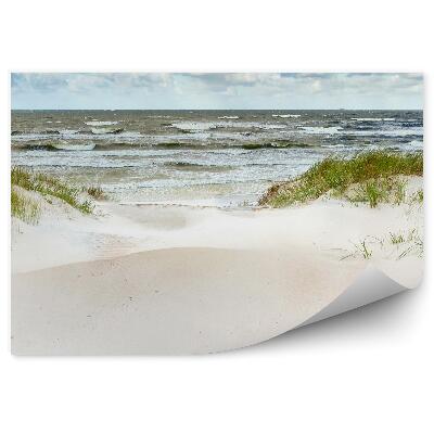 Okleina na ścianę Wydmy na wybrzeżu Bałtyk