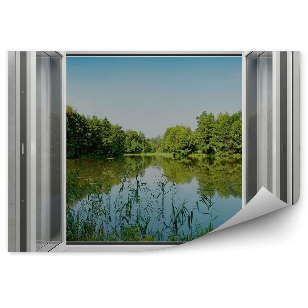 Fototapeta Szara ściana okno las jezioro drzewa