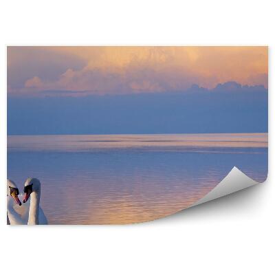 Okleina ścienna Dwa białe łabędzie na jeziorze