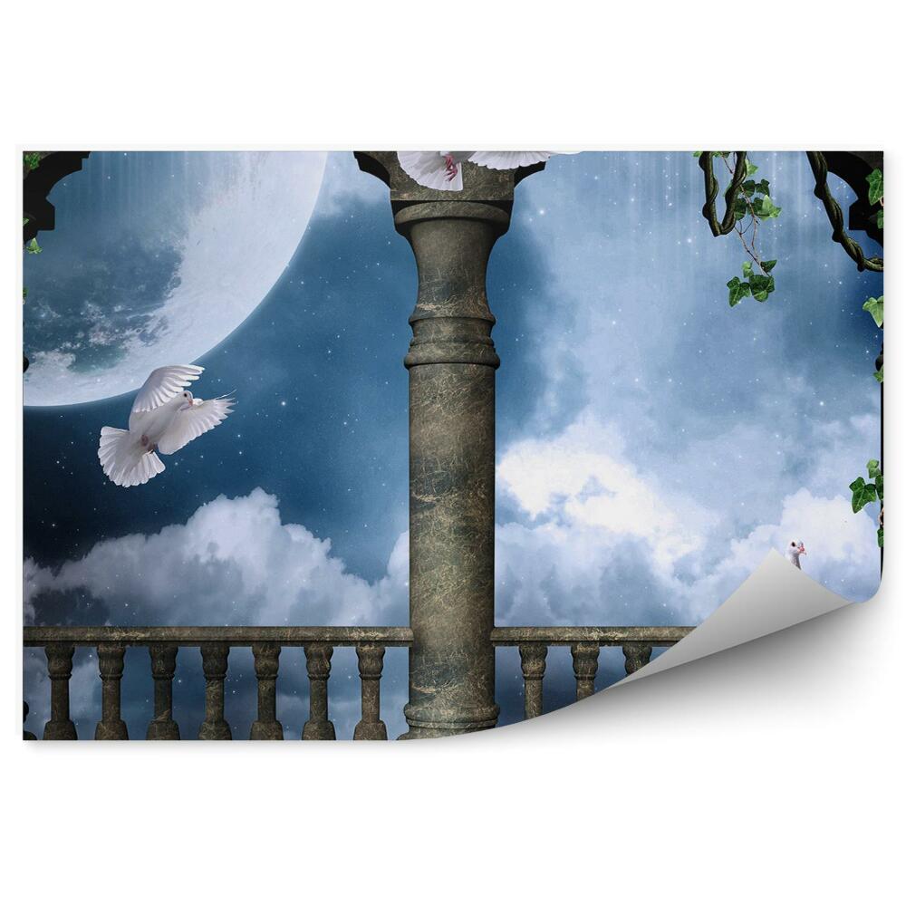 Fototapeta samoprzylepna Balkon zamek bluszcz gołębie księżyc chmury gwiazdy