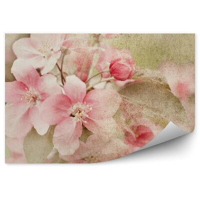 Okleina ścienna Różowe kwiaty jabłoni brązowe tło
