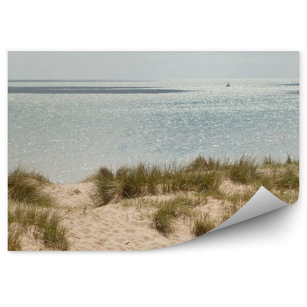 Fototapeta Plaża camber wydmy ocean jacht niebo chmury rośliny