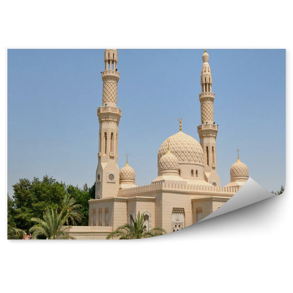 Fototapeta meczet Dubaj palmy drzewa trawy wieżowce niebo