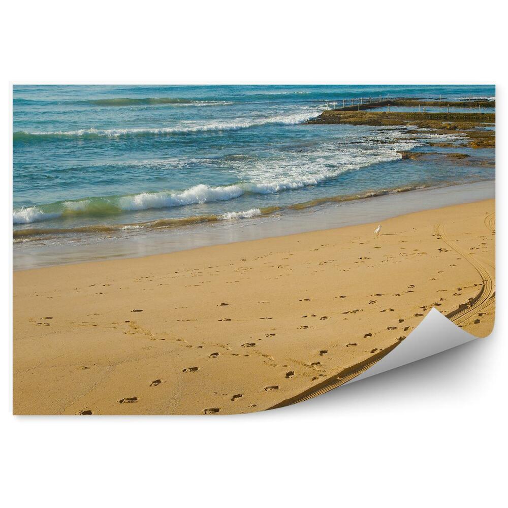 Okleina ścienna Plaża ptaki ocean woda fale skały