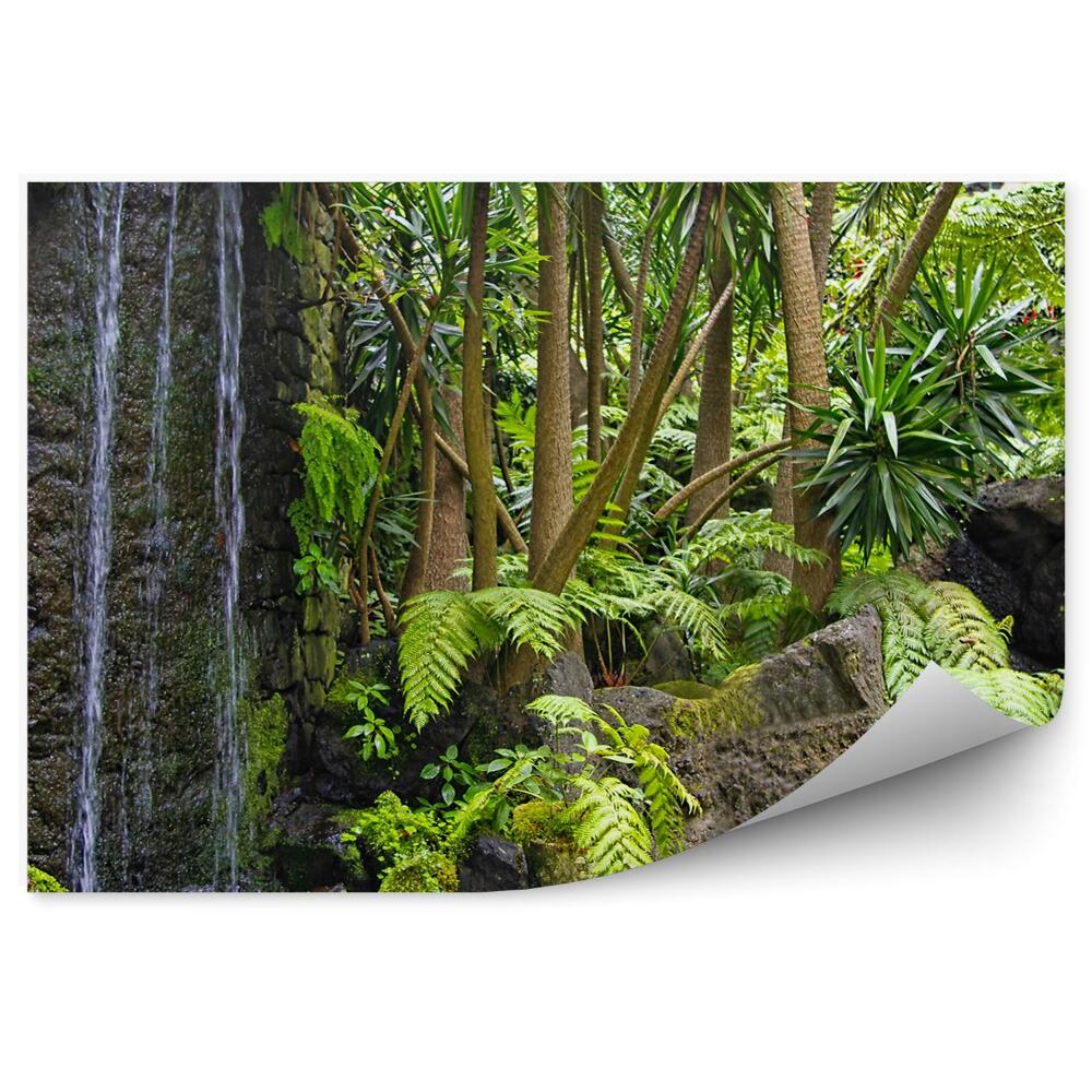 Okleina ścienna Wzgórze madera wodospad skały palmy paprocie egzotyczne rośliny