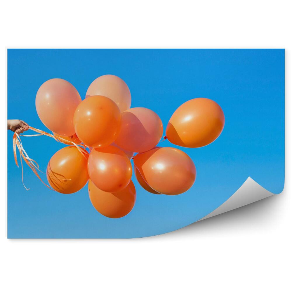Fototapeta Pomarańczowe balony niebo