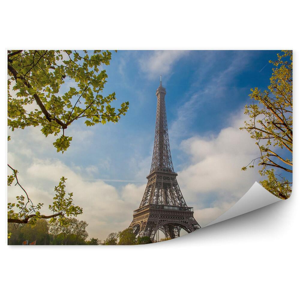 Fototapeta Wieża Eiffla łodzie drzewa Sekwana Paryż Francja