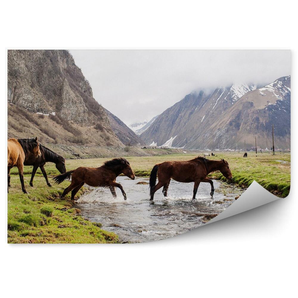 Fototapeta Góry stado koni rzeka trawa śnieg