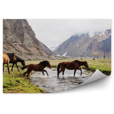 Fototapeta Góry stado koni rzeka trawa śnieg