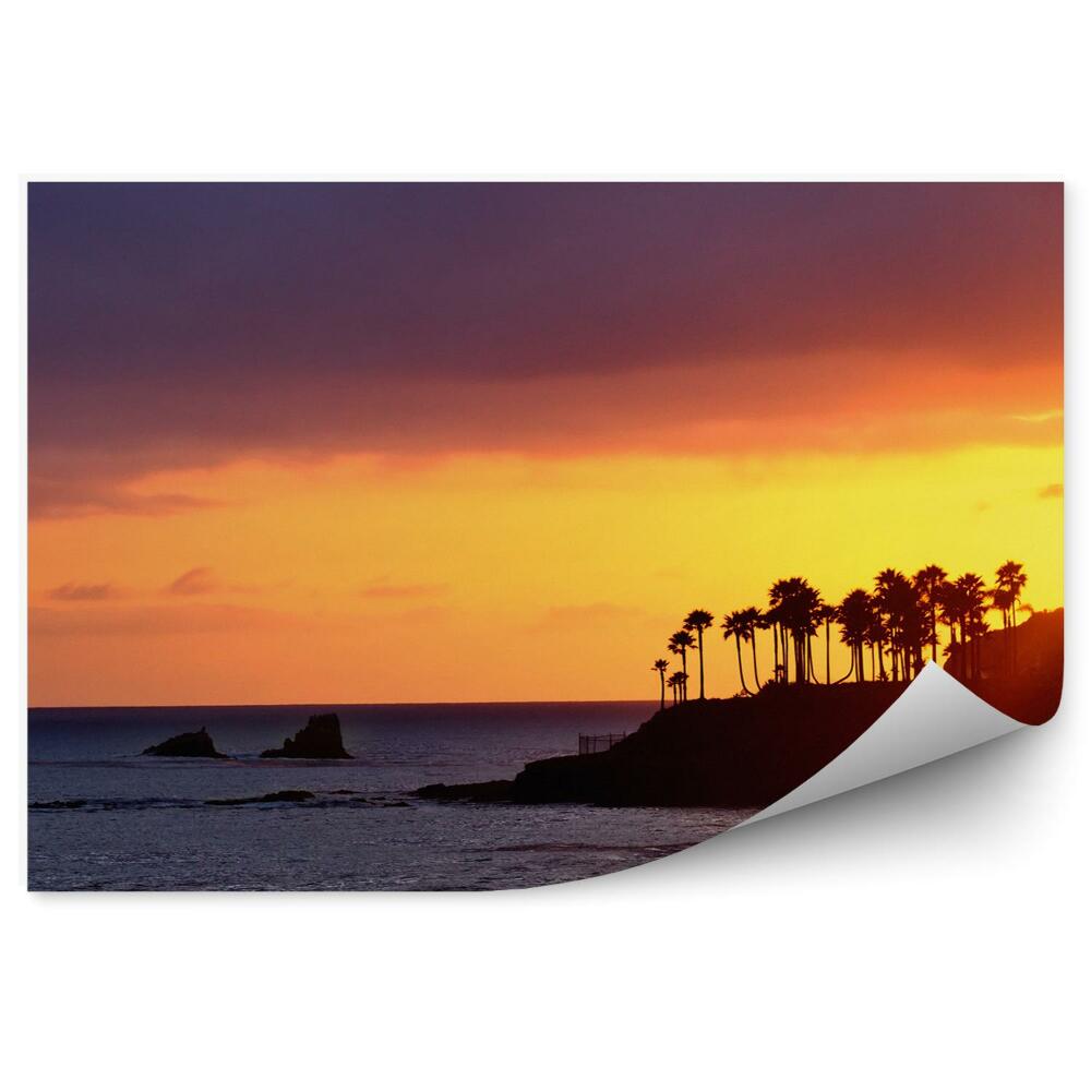 Fototapeta na ścianę Zachód słońca palmy linia horyzontu