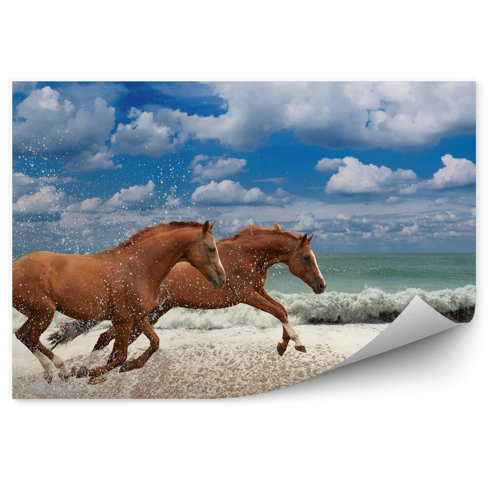 Fototapeta Plaża morze biegnące brązowe konie niebo