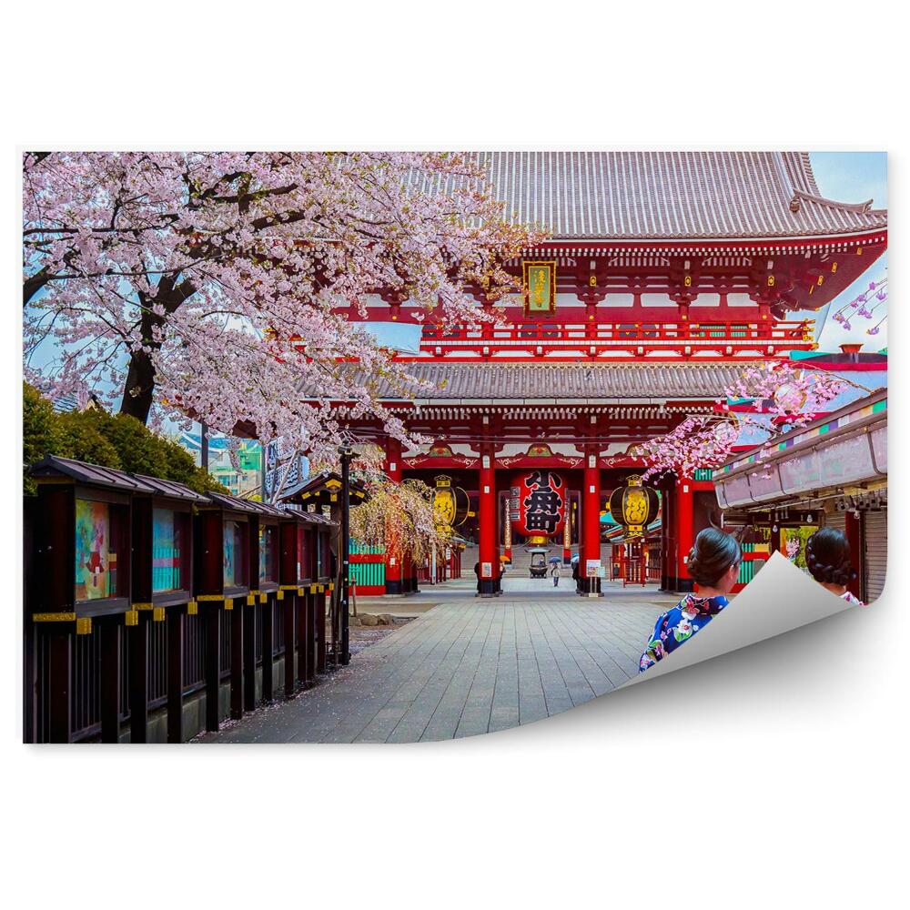 Fotopeta Sakura natura miasto japonia gejsze kimona