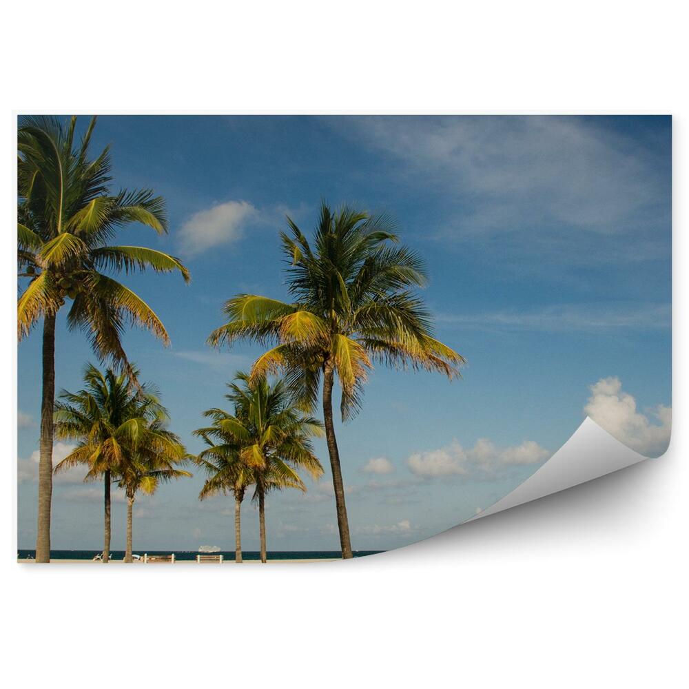 Fototapeta Plaża palmy błękitne niebo ameryka