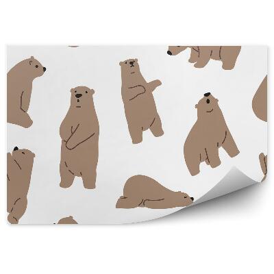 Fototapeta Misie niedźwiedzie zwierzę wzór