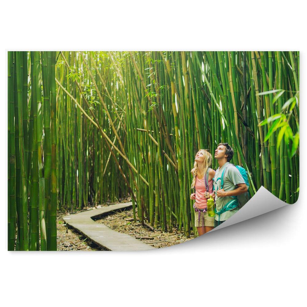 Okleina ścienna Turyści wędrówka podróż ścieżka las bambus