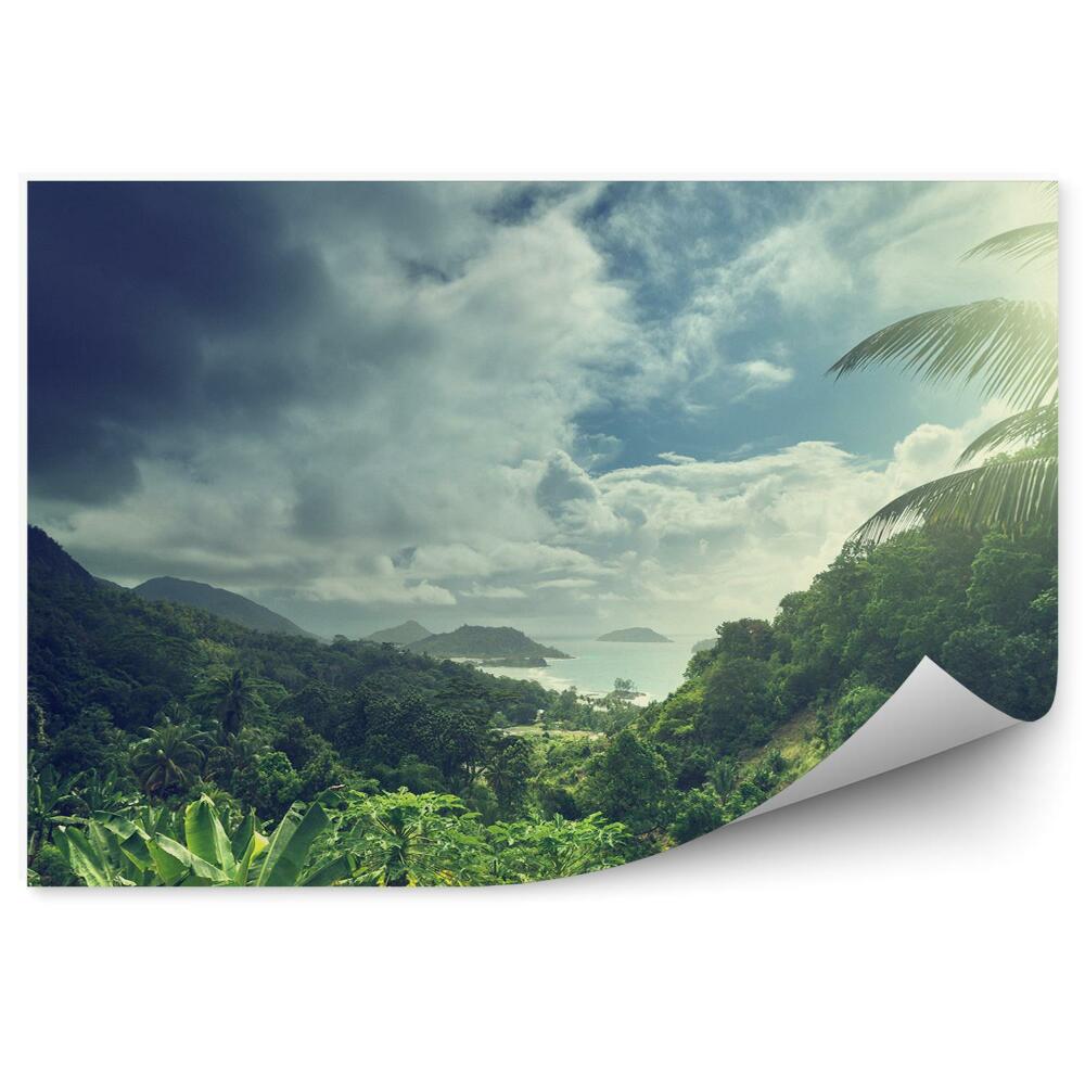 Fototapeta na ścianę dżungla ocean skały niebo chmury palmy Seszele