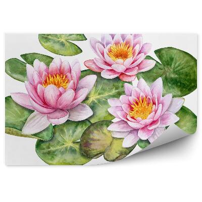 Okleina ścienna Rysunek rycina lilie wodne na białym tle