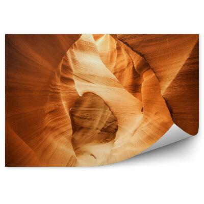 Fototapeta Kanion antylopy