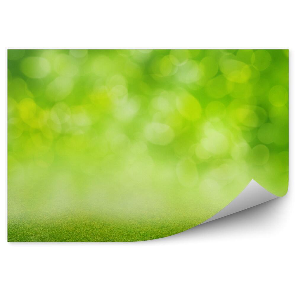 Okleina ścienna Skoszona trawa zielone tło abstrakcja