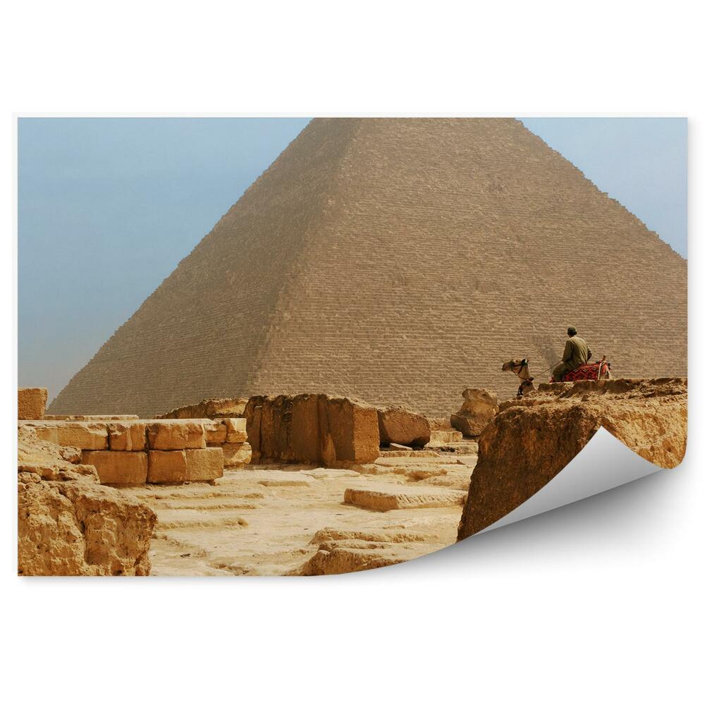 Fototapeta samoprzylepna Piramida ruiny zabytki wielbłąd