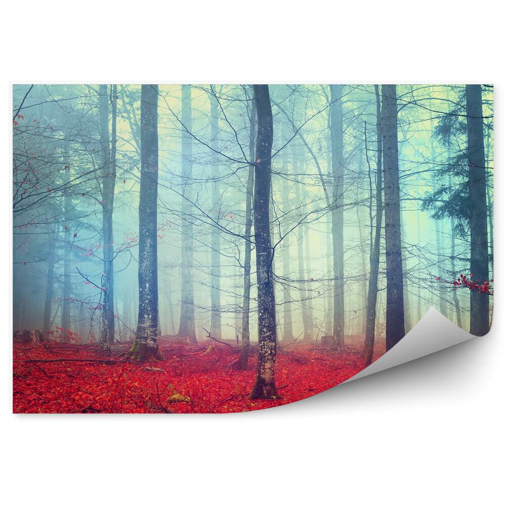 Fototapeta na ścianę Czerwone liście ciemny las jesień drzewa gałęzie