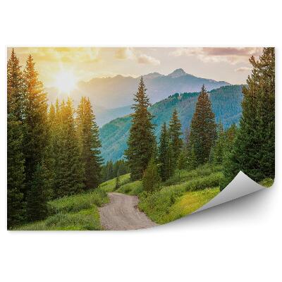 Fototapeta Krajobraz górski las