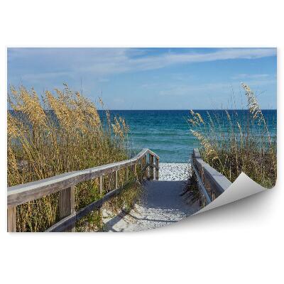 Fototapeta Nadmorska promenada z wydmami i kłosami unioli