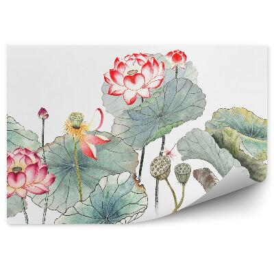 Okleina ścienna Rysunek lilii wodnych