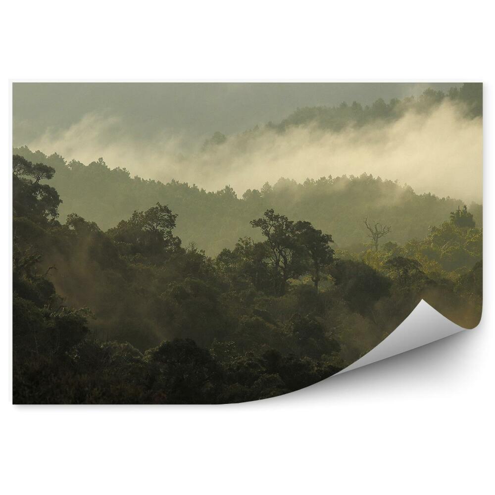 Okleina ścienna Dżungla las góry mgła chmury