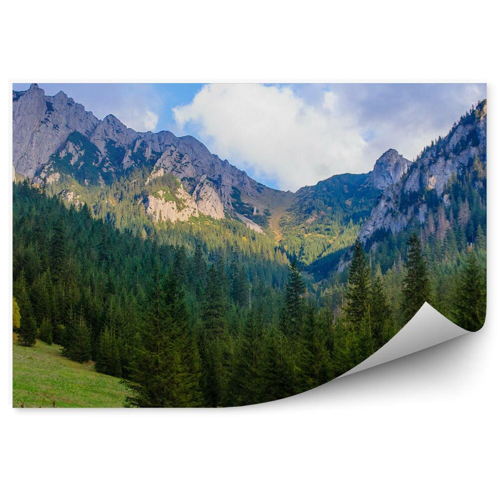 Okleina na ścianę Tatry góry śnieg las trawy niebo chmury