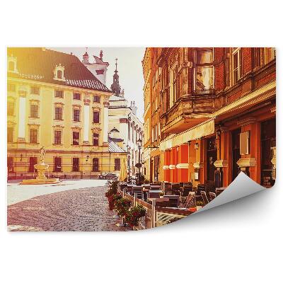 Fototapeta rynek Wrocław budynki fontanna kwiaty